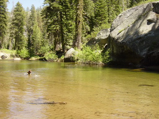 cool water on a hot day