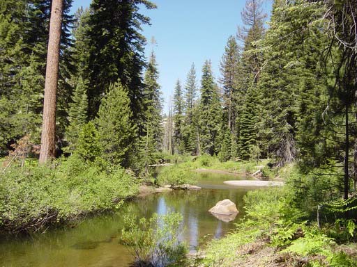 ha.. Ha  ha.. ha HAH HAH HA HA HA He he..